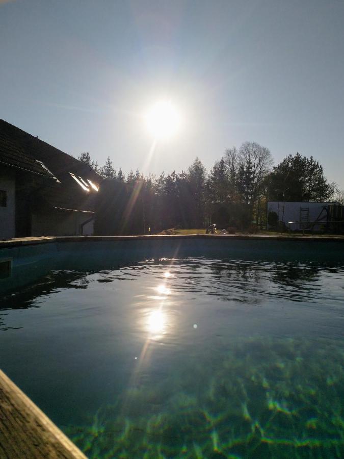 Camping & Guest House Pliskovice Mirovice Extérieur photo