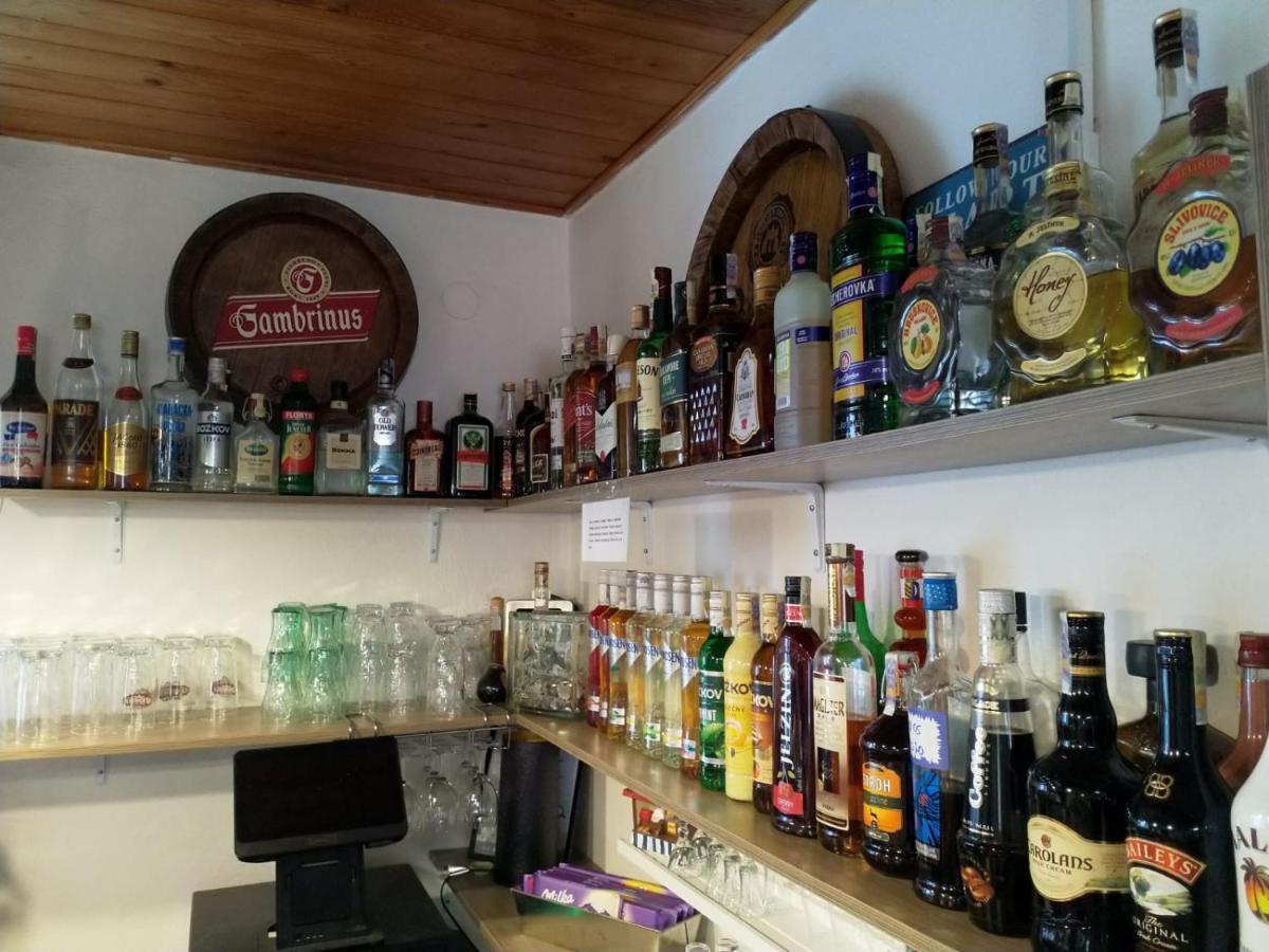 Camping & Guest House Pliskovice Mirovice Extérieur photo