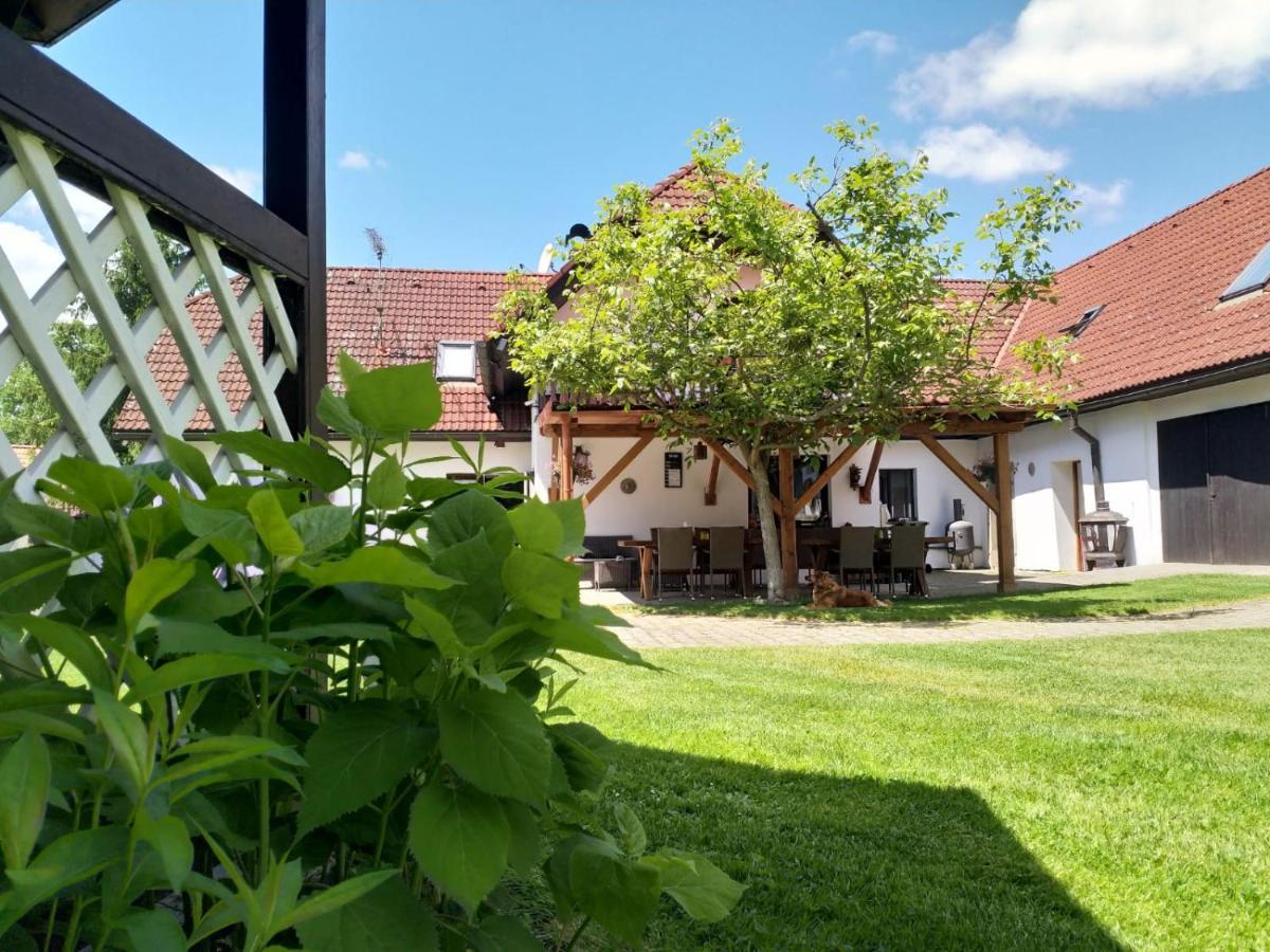 Camping & Guest House Pliskovice Mirovice Extérieur photo