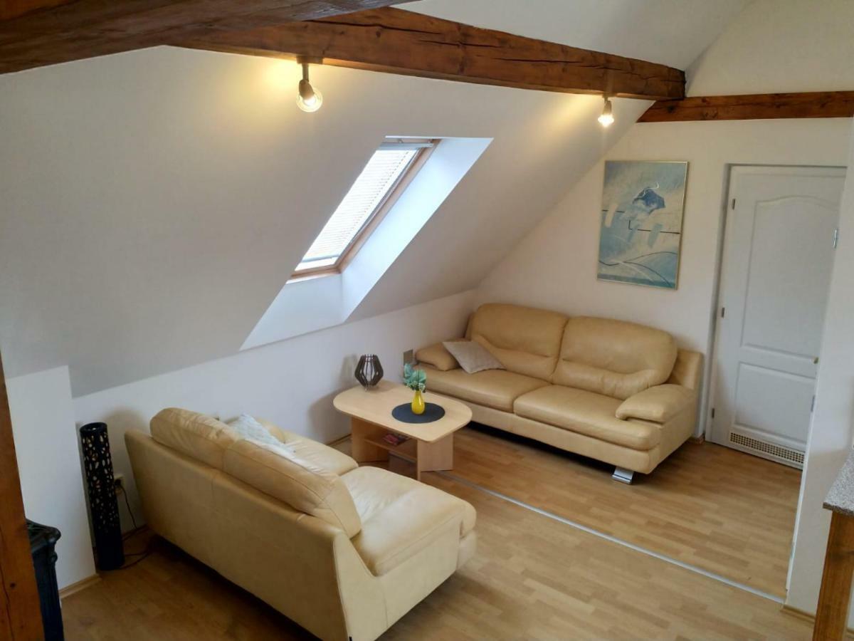 Camping & Guest House Pliskovice Mirovice Extérieur photo
